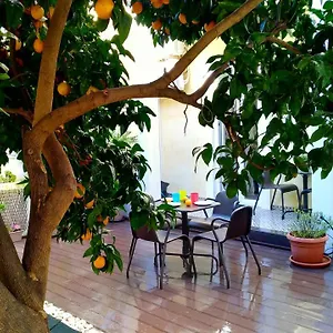 Sunny Orange Garden In Apartment